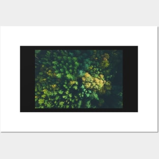 Aerial view of color autumn forest Posters and Art